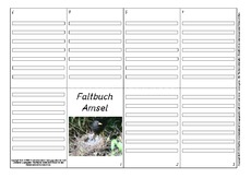 Faltbuch-Amsel-L-5.pdf